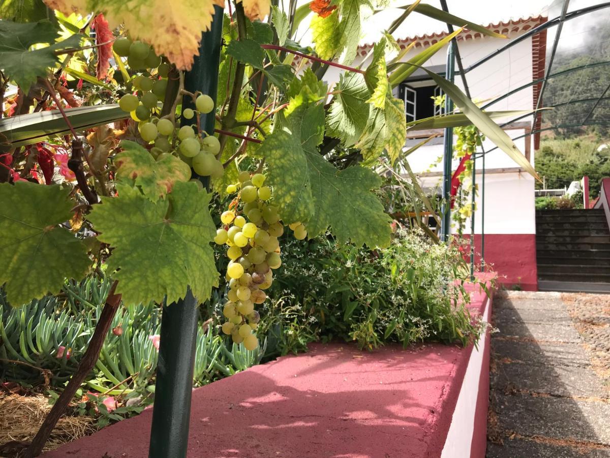 Casa Oliveira Esmeraldo - Guest Houses São Vicente Exteriör bild